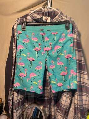 Departwest Men's Teal Flamingo Print Swim Trunks